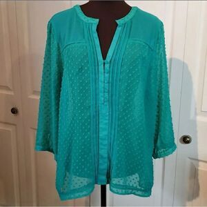 Romy Sheer Green Long Sleeve Blouse